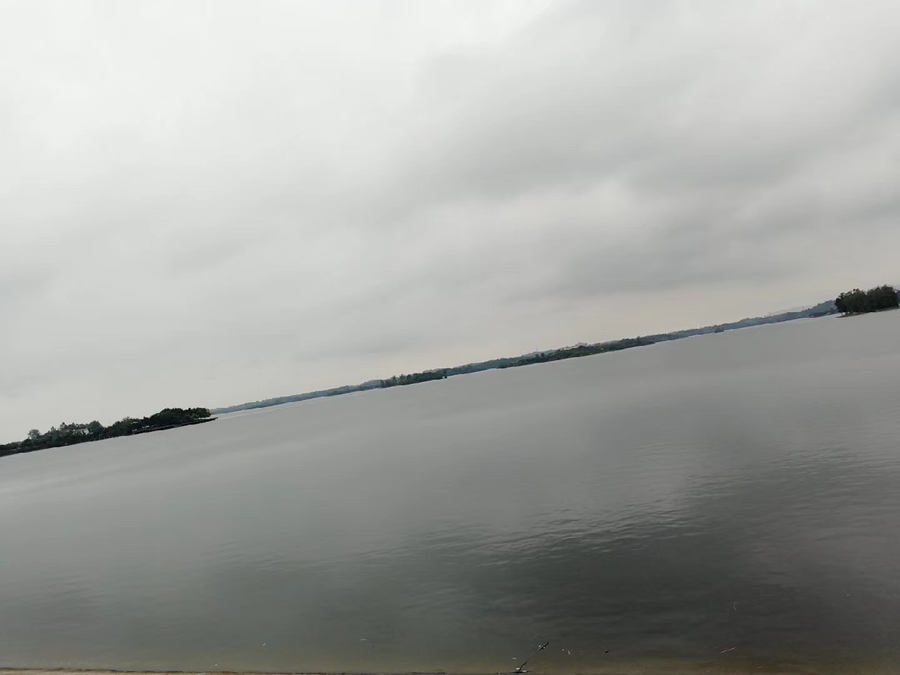 红虫有毒吗？用红虫挂饵应该注意什么？