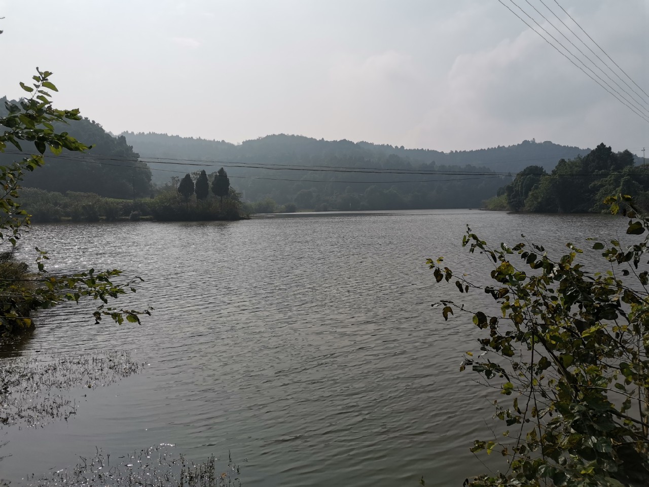 红虫有毒吗？用红虫挂饵应该注意什么？