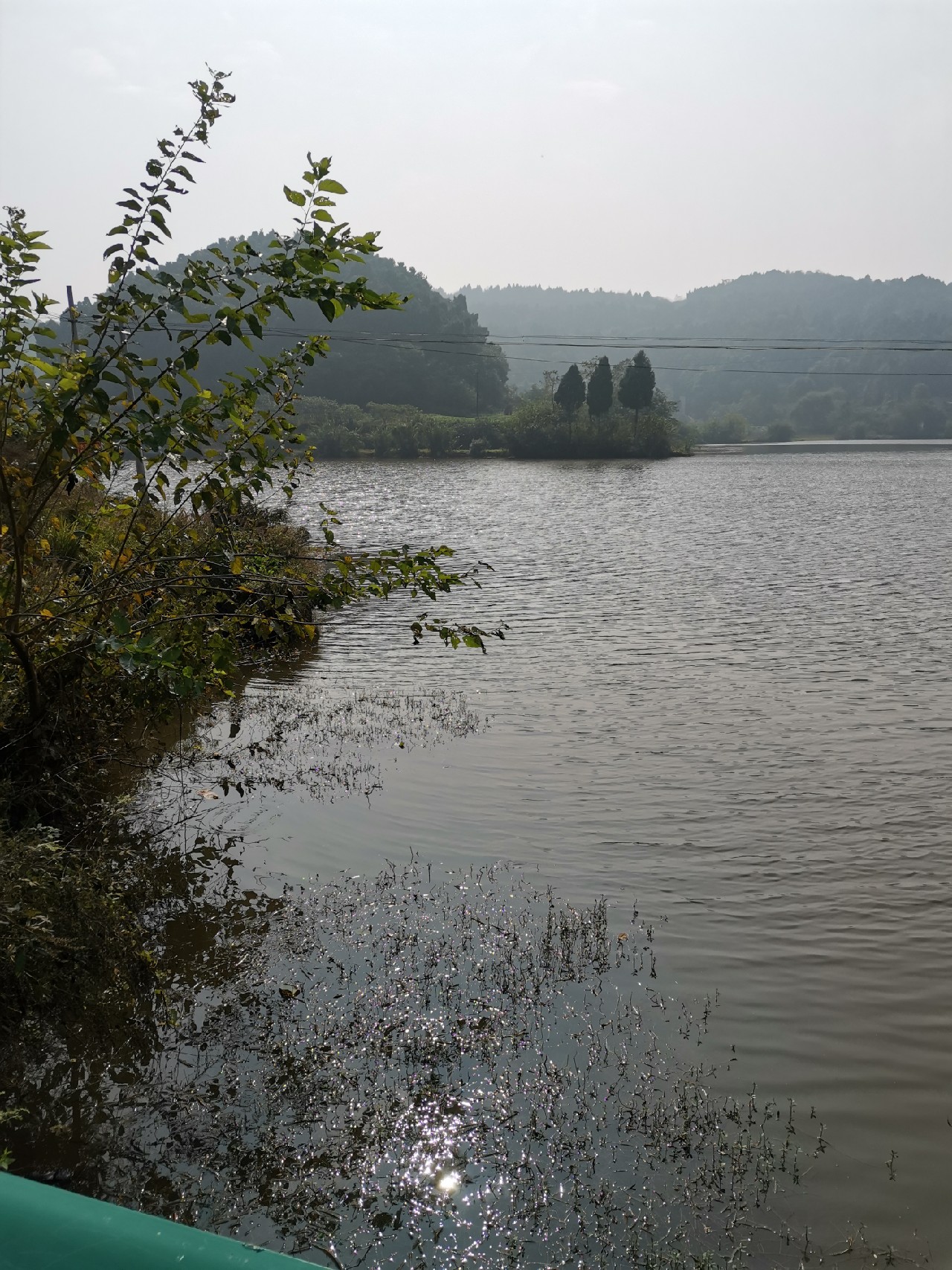 红虫有毒吗?用红虫挂饵应该注意什么?
