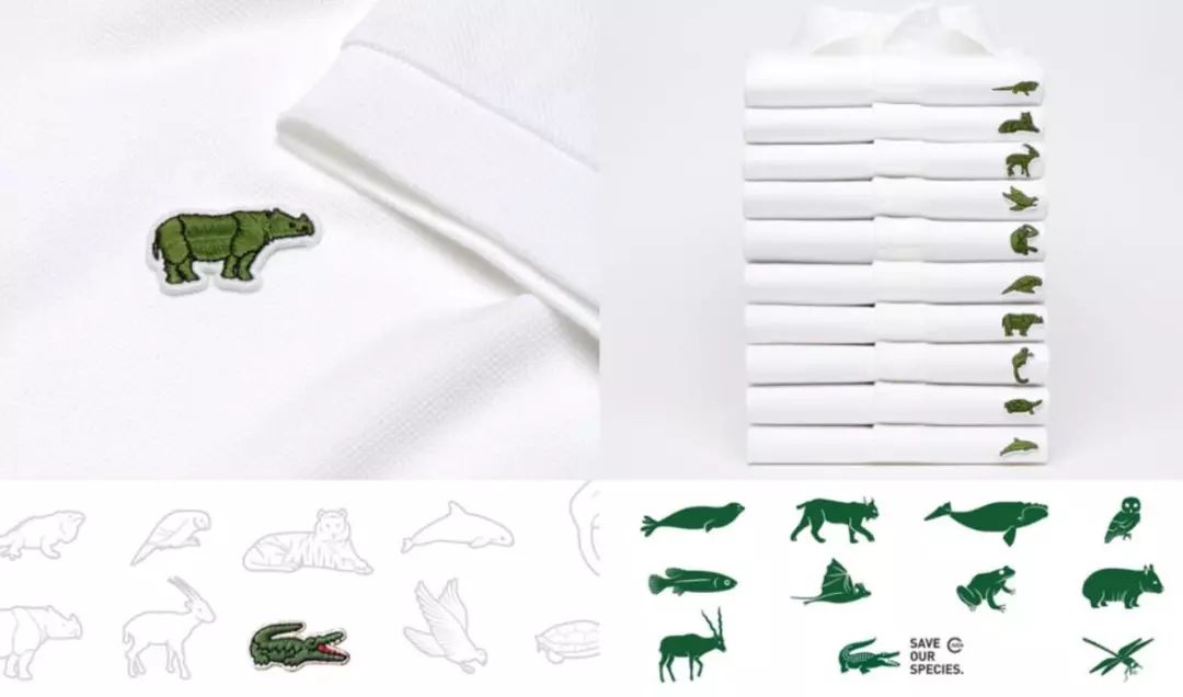 作品分享大赛获奖名单,作品分享精品