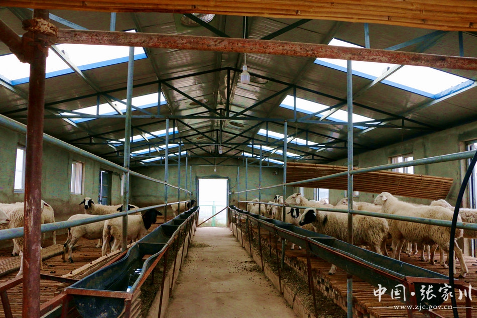 动真碰硬做好各项整改方案,动真碰硬整改最新消息