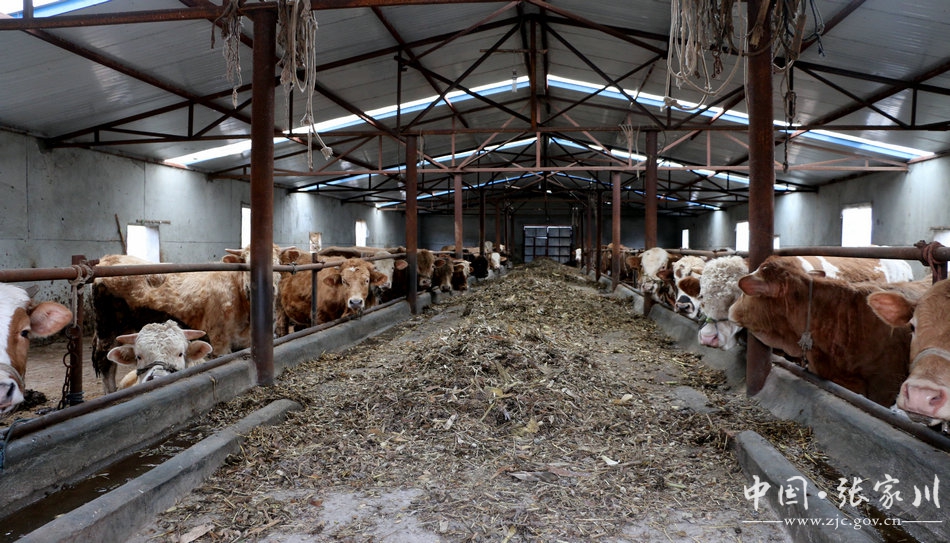 动真碰硬做好各项整改方案,动真碰硬整改最新消息