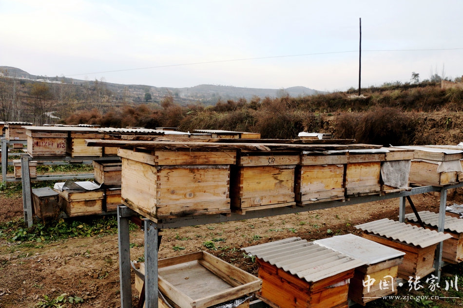 动真碰硬做好各项整改方案,动真碰硬整改最新消息