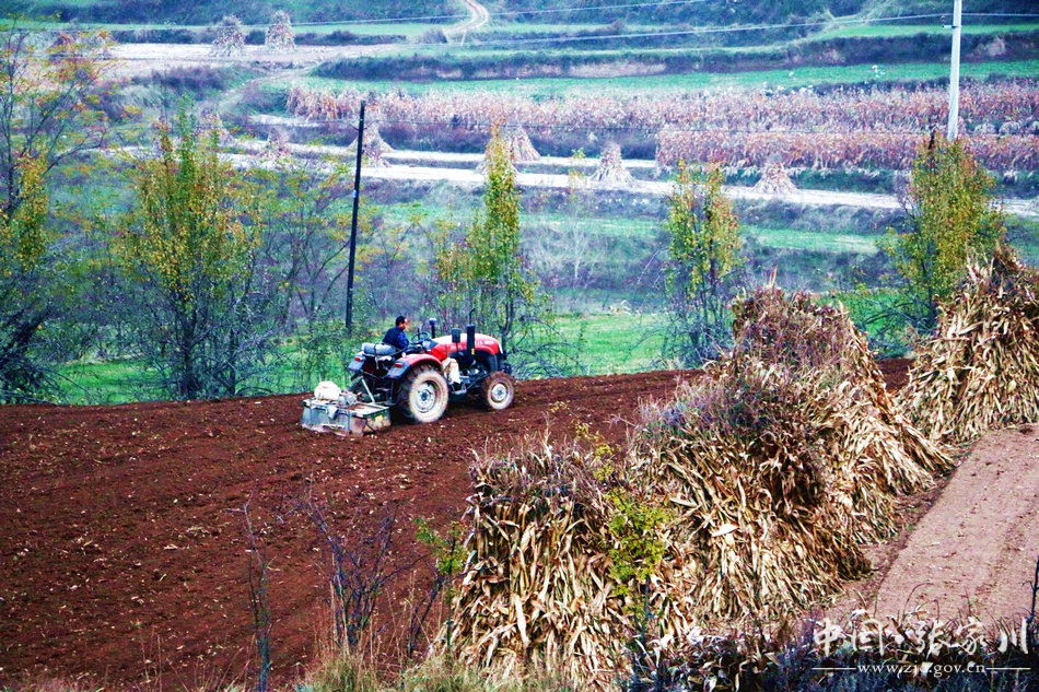 动真碰硬做好各项整改方案,动真碰硬整改最新消息