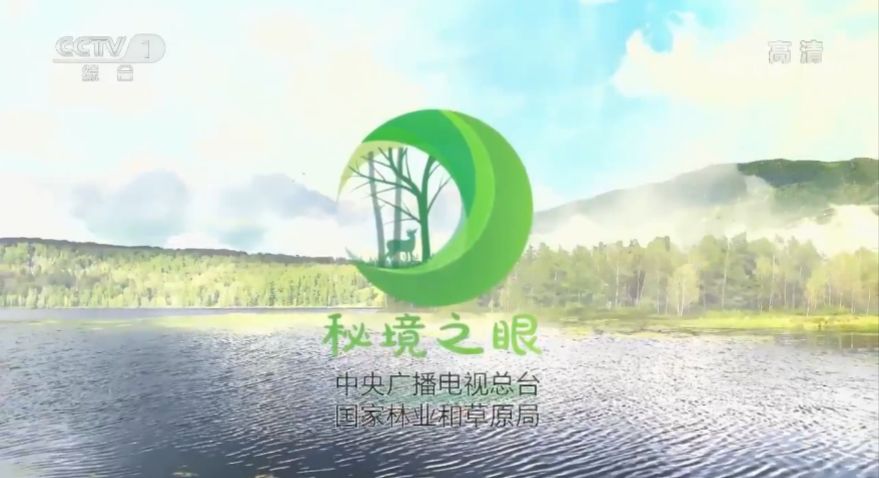 “喵喵喵”还是“嗷嗷嗷”？快跟《秘境之眼》一起描绘你眼中的“雪山之王”吧