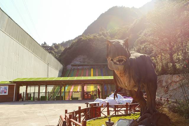 重庆网红景点奥陶纪攻略,重庆奥陶纪游玩怎么上来