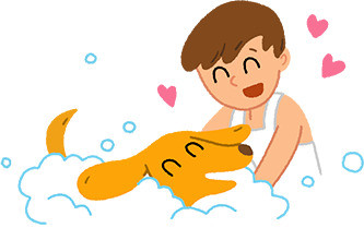 养毛孩子全过程,养毛孩子的十大方法