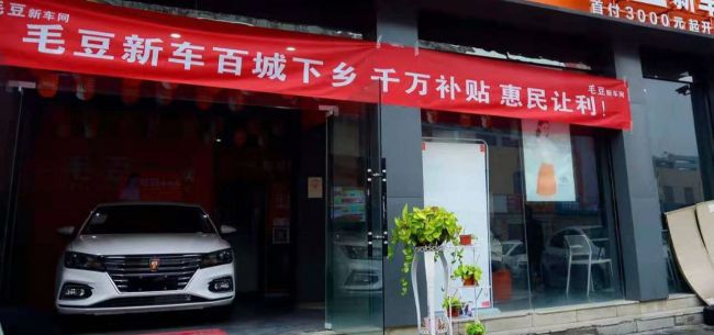 毛豆新车10月销量,毛豆新车融资排名