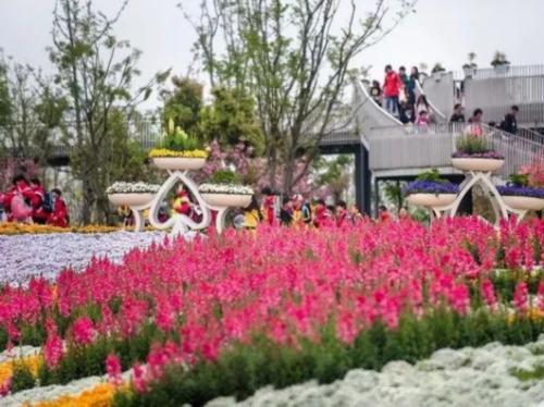 上海景点免费打卡圣地,上海网红打卡地点景点免费