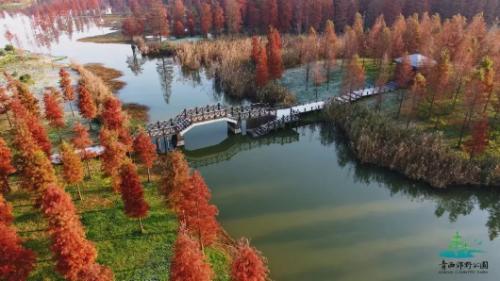 上海景点免费打卡圣地,上海网红打卡地点景点免费