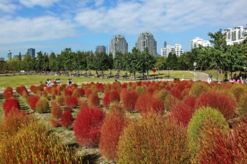 上海景点免费打卡圣地,上海网红打卡地点景点免费