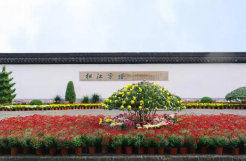 上海景点免费打卡圣地,上海网红打卡地点景点免费