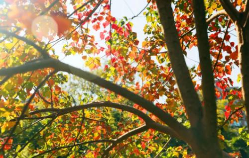 上海景点免费打卡圣地,上海网红打卡地点景点免费