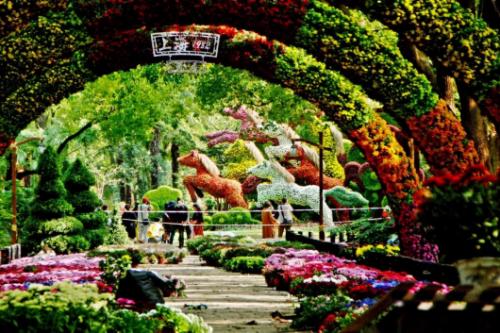 上海景点免费打卡圣地,上海网红打卡地点景点免费