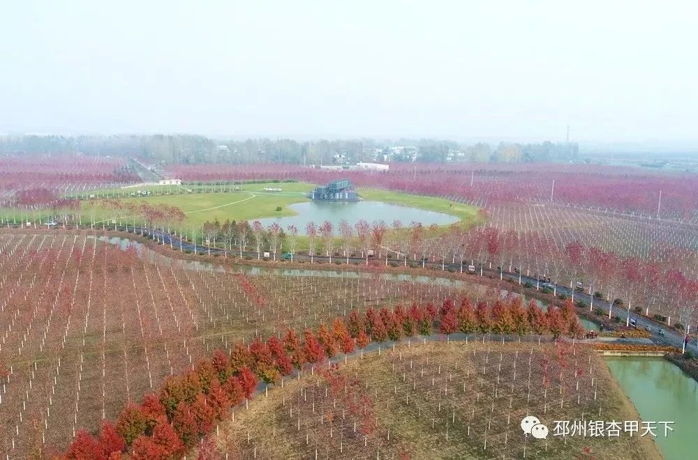 中国乡村振兴高峰论坛,乡村振兴与乡村治理高峰论坛