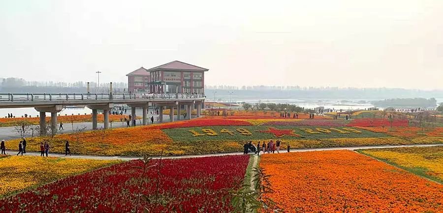 中国乡村振兴高峰论坛,乡村振兴与乡村治理高峰论坛