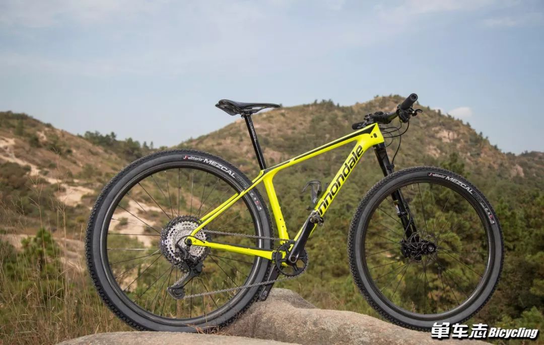 解读封宽杰の真香12sShimanoDeoreXTM8100套件大全