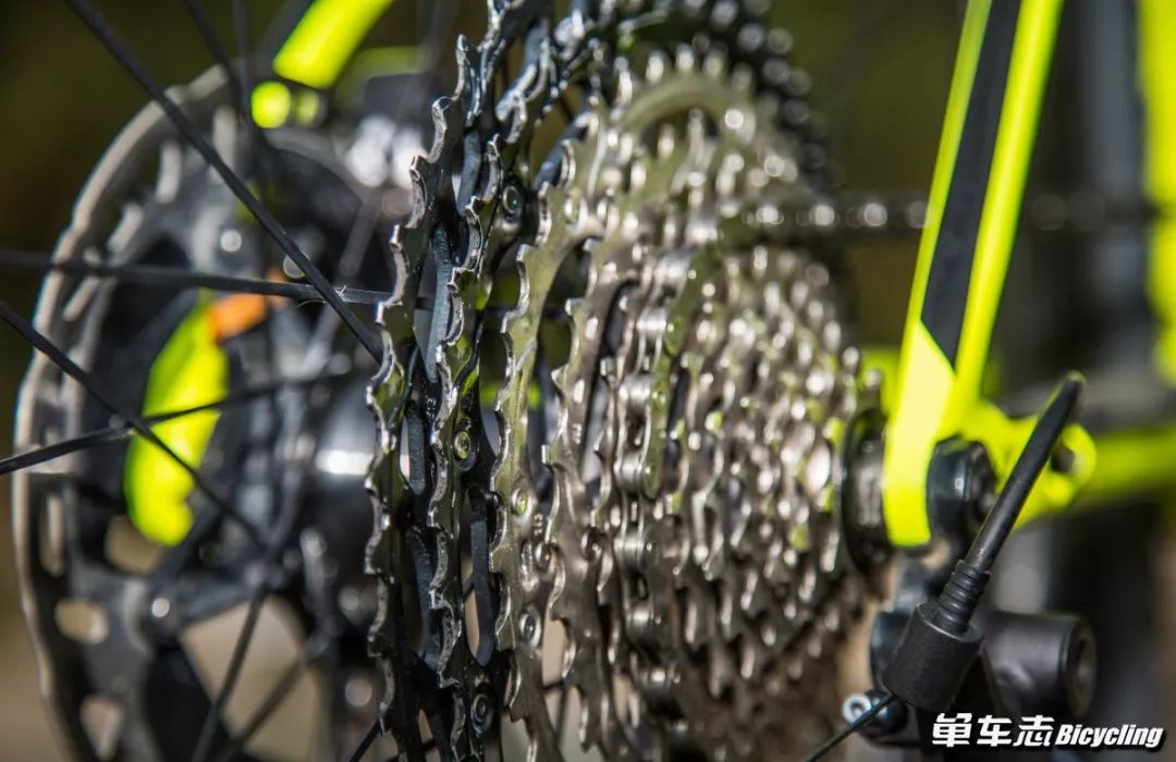 解读封宽杰の真香12sShimanoDeoreXTM8100套件大全