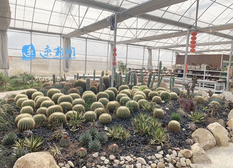 电商创富记视频,农产品电商创业新闻报道