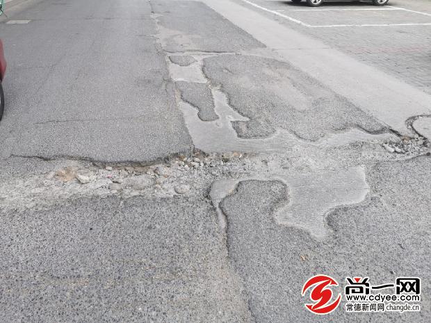 坑你没商量前面一句,坑你没商量前半句