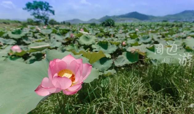 福州贵安哪里好玩一日游推荐,福州周边一日游旅游景点推荐