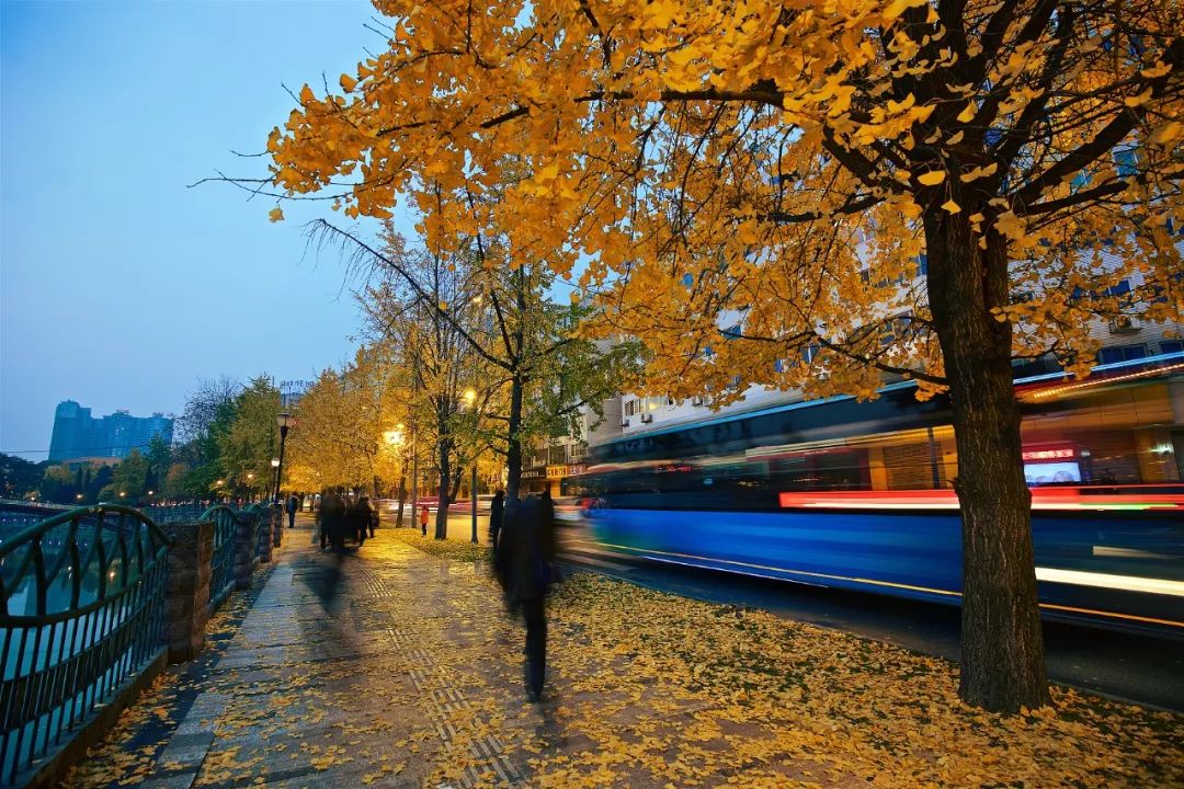 精心整理的成都超全旅游攻略,成都旅游攻略必看30条