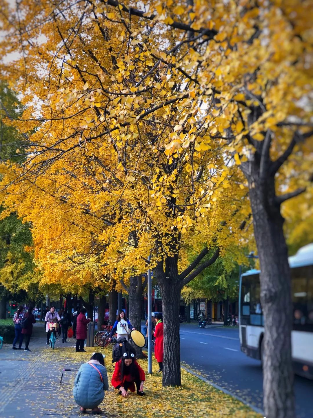 精心整理的成都超全旅游攻略,成都旅游攻略必看30条