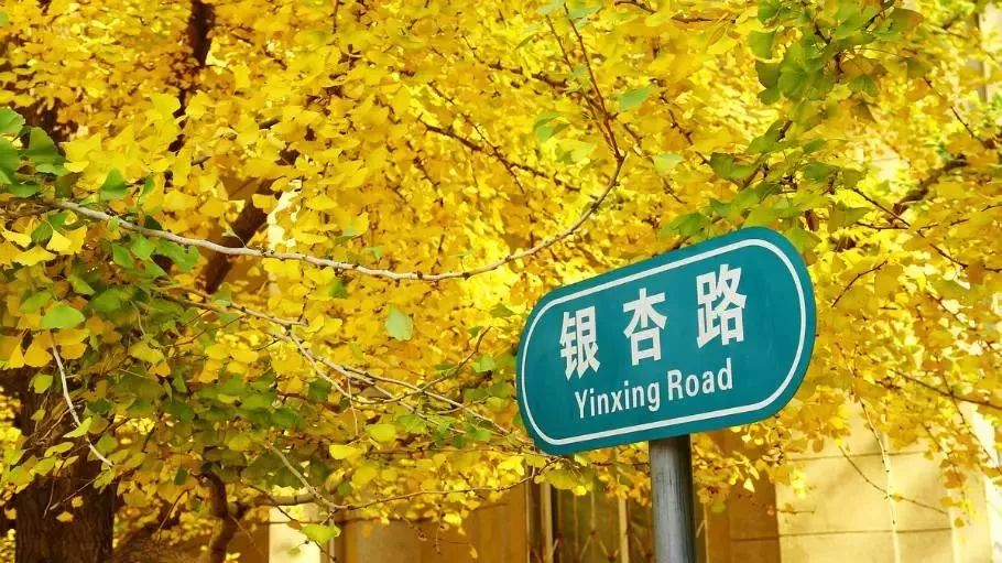 精心整理的成都超全旅游攻略,成都旅游攻略必看30条