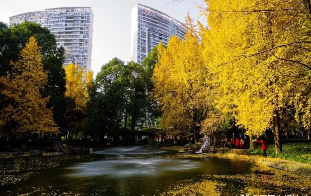 精心整理的成都超全旅游攻略,成都旅游攻略必看30条