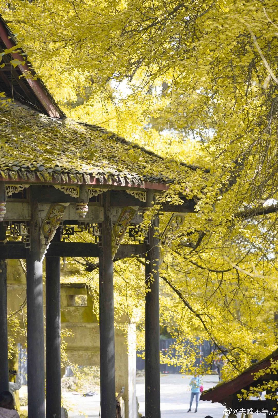 精心整理的成都超全旅游攻略,成都旅游攻略必看30条