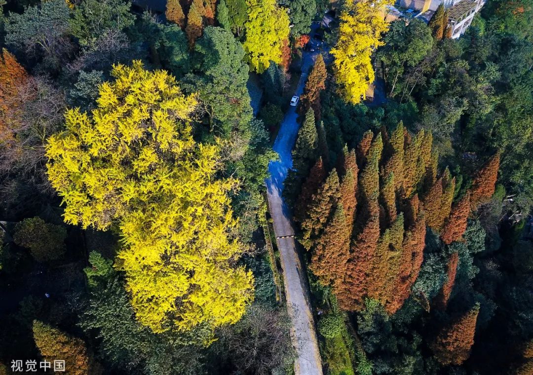精心整理的成都超全旅游攻略,成都旅游攻略必看30条