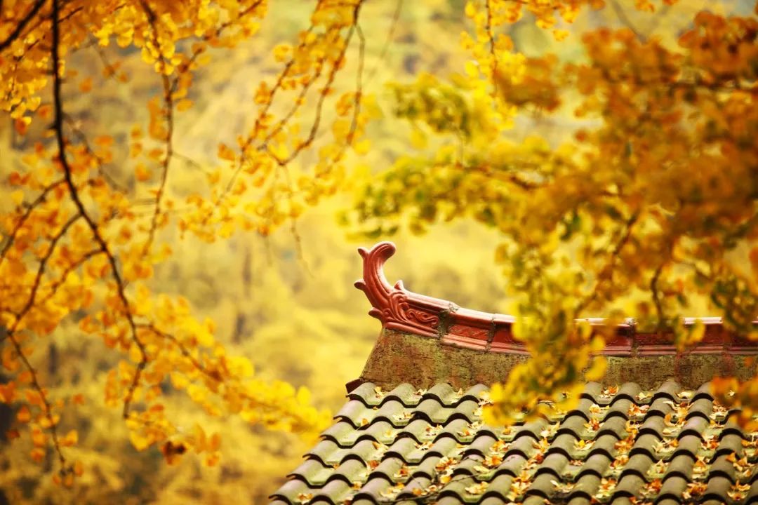 精心整理的成都超全旅游攻略,成都旅游攻略必看30条