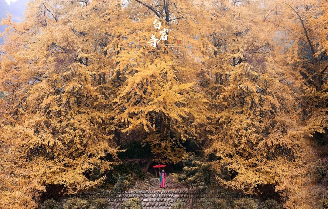 精心整理的成都超全旅游攻略,成都旅游攻略必看30条