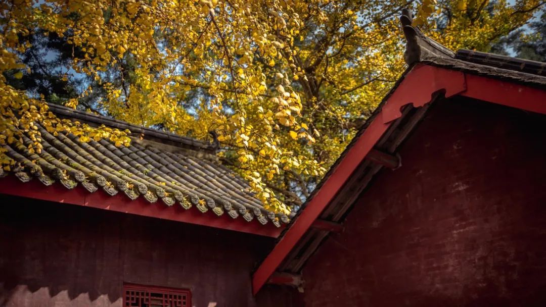 精心整理的成都超全旅游攻略,成都旅游攻略必看30条