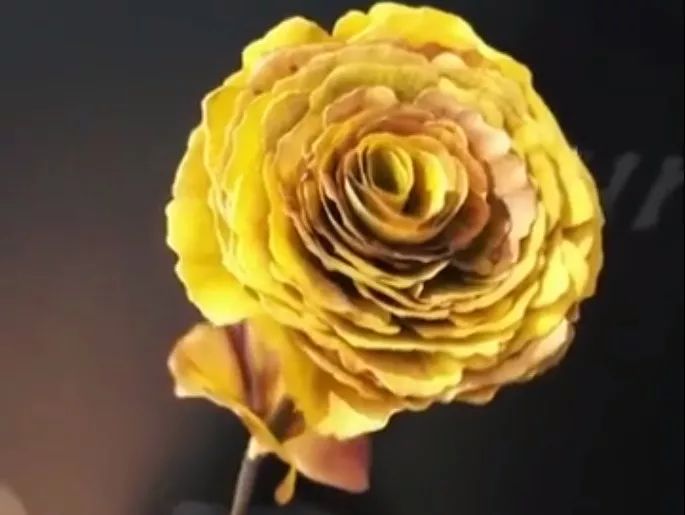 精心整理的成都超全旅游攻略,成都旅游攻略必看30条