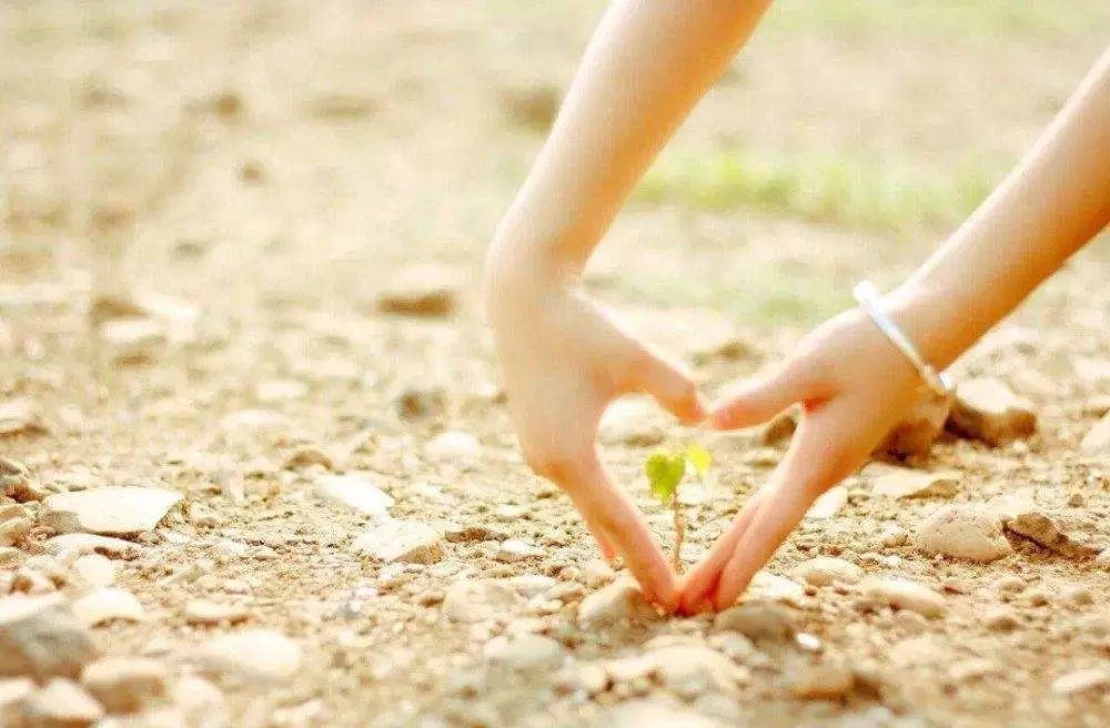 不惧怕校园暴力,防止孩子在学校被欺负仅需三招