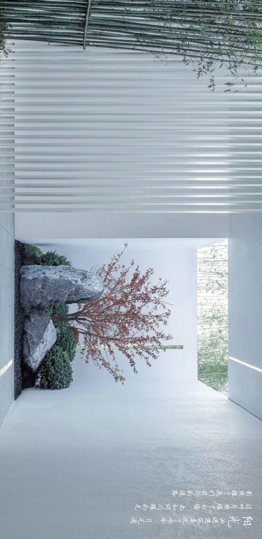 偶得幽闲境遂忘尘俗心,偶得闲情逸致