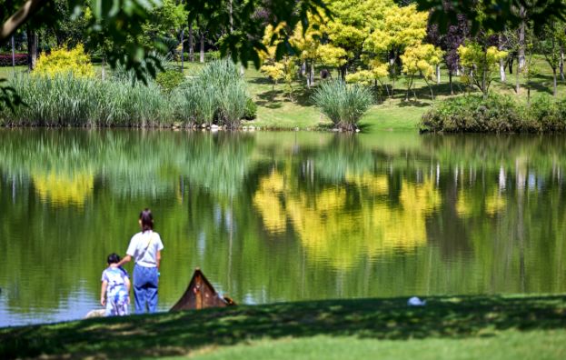 天府中央商务区楼盘,天府中央商务区好楼盘