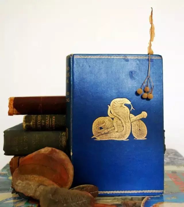 星球 · Lavigne | 蓝色之城三部曲：蓝的忧伤，城堡与亡灵