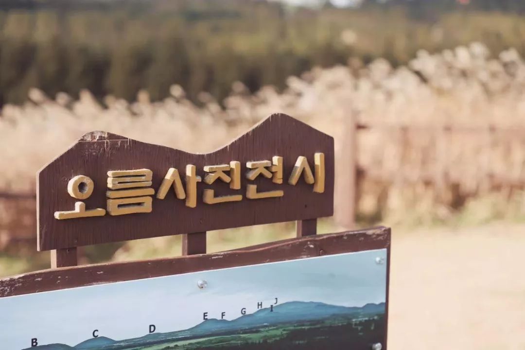 这座免签小岛,几乎出现在了每一部浪漫韩剧里