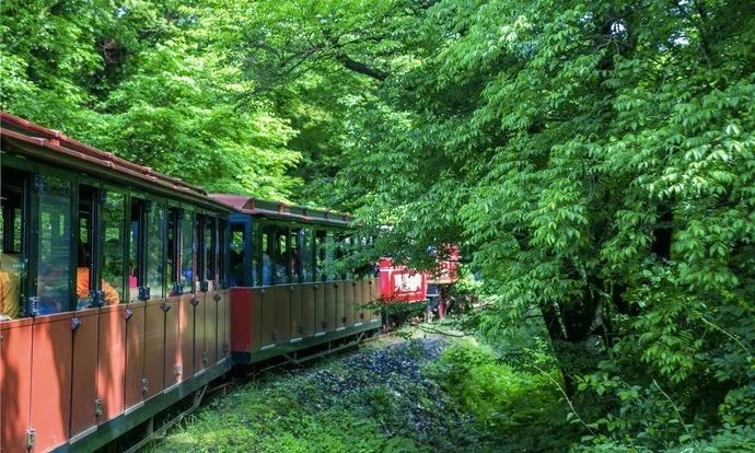 这座免签小岛,几乎出现在了每一部浪漫韩剧里