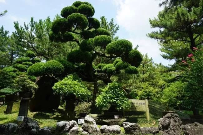 这座免签小岛,几乎出现在了每一部浪漫韩剧里