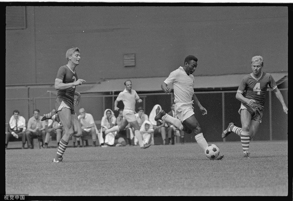 巴西巴西抖音,巴西乒乓球卡尔德拉诺