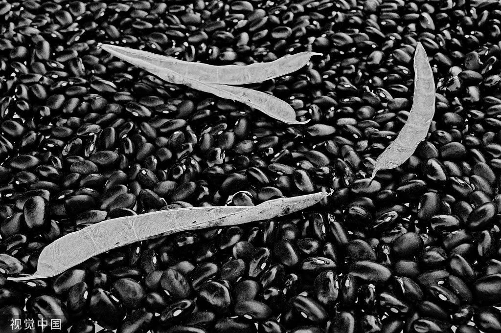 巴西巴西抖音,巴西乒乓球卡尔德拉诺