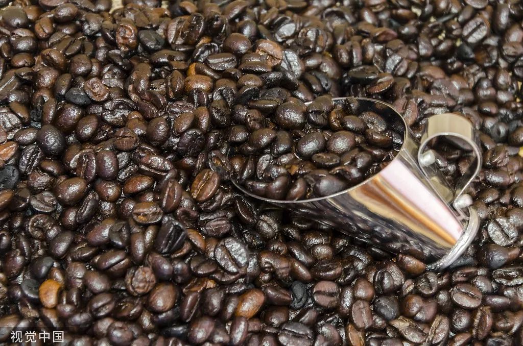 巴西巴西抖音,巴西乒乓球卡尔德拉诺