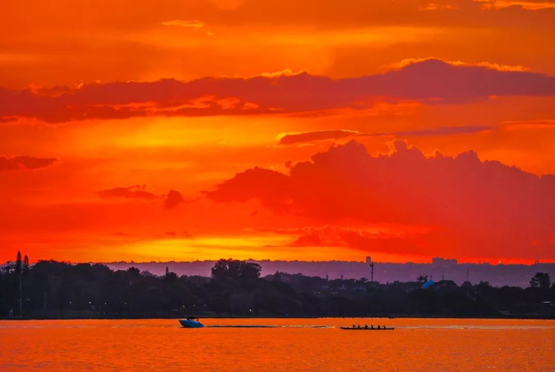 巴西巴西抖音,巴西乒乓球卡尔德拉诺