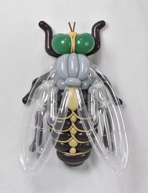 全球最神奇的动物园,日本神奇动物园