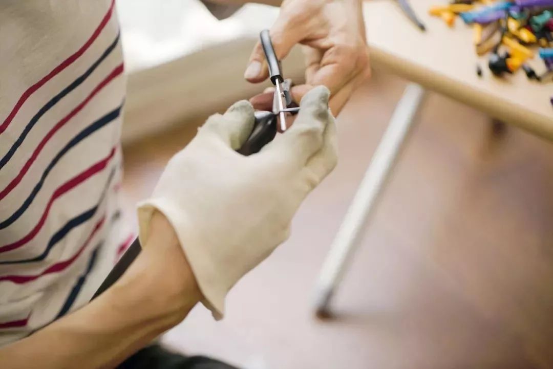 全球最神奇的动物园,日本神奇动物园