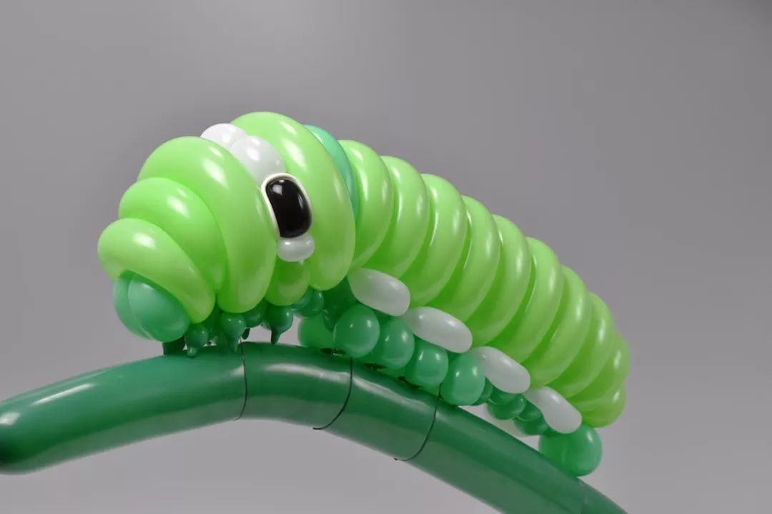 全球最神奇的动物园,日本神奇动物园