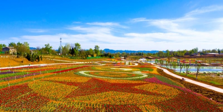 项目建设助推洛南经济腾飞